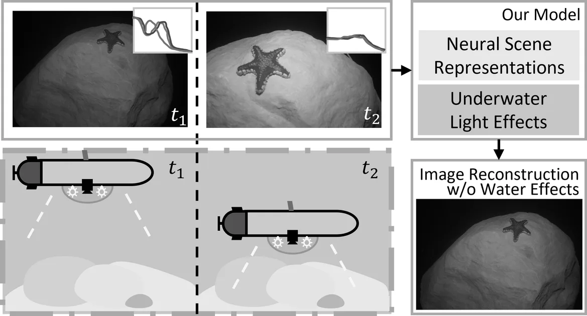 Fig. 1: Observing an underwater scene from different altitudes results in variating color distribution over the RGB channels. Such observations encode the physics of light-water interactions. Our proposed model leverages this cue to restore